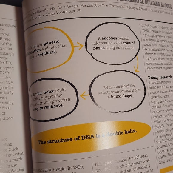 The Science Book - Big Ideas Simply Explained - Picture 13 of 14